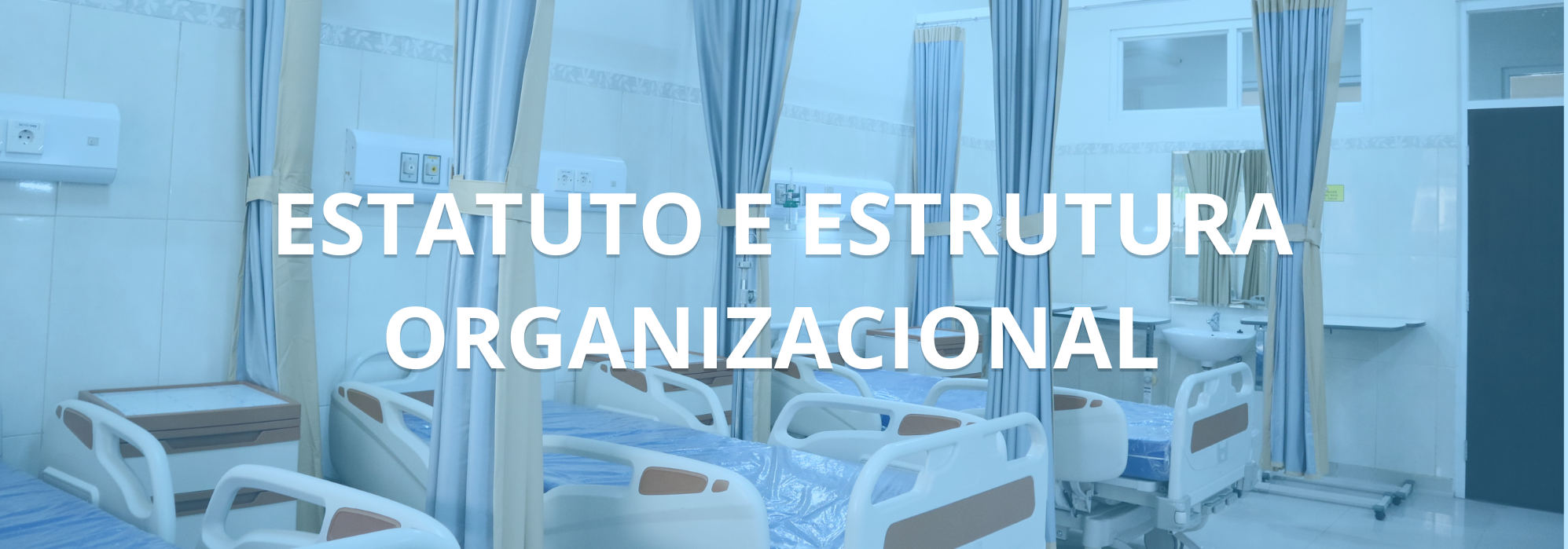 Estatuo e estrutura organizacional