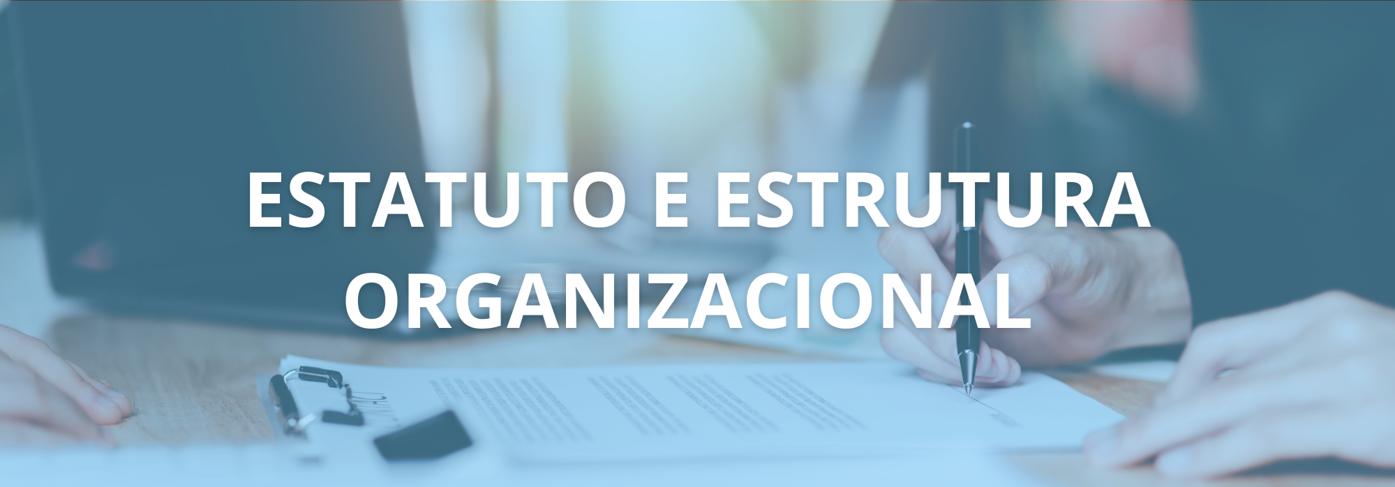 Estatuto e estrutura organizacional